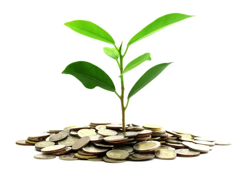 Инвестиции SKF в сохранение экологии | Свежие новости в Екатеринбурге